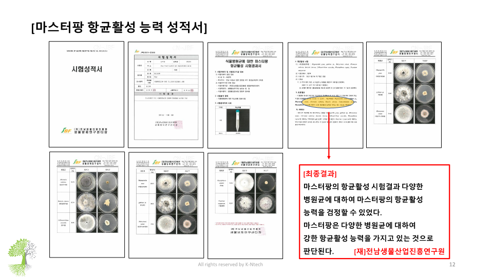 마스터팡 항균활성 능력 시험성적서 모음