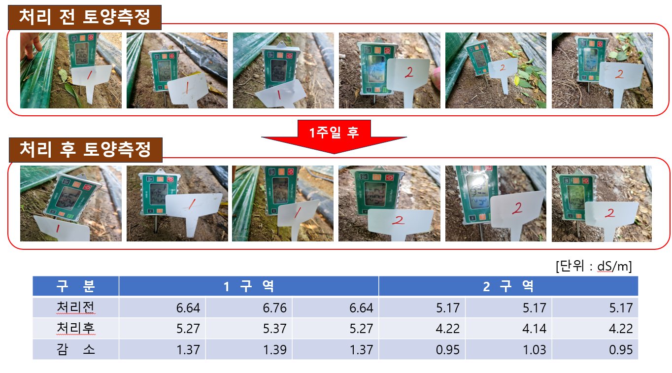 처리 전 / 처리 후 토양 EC 측정 현장 사진