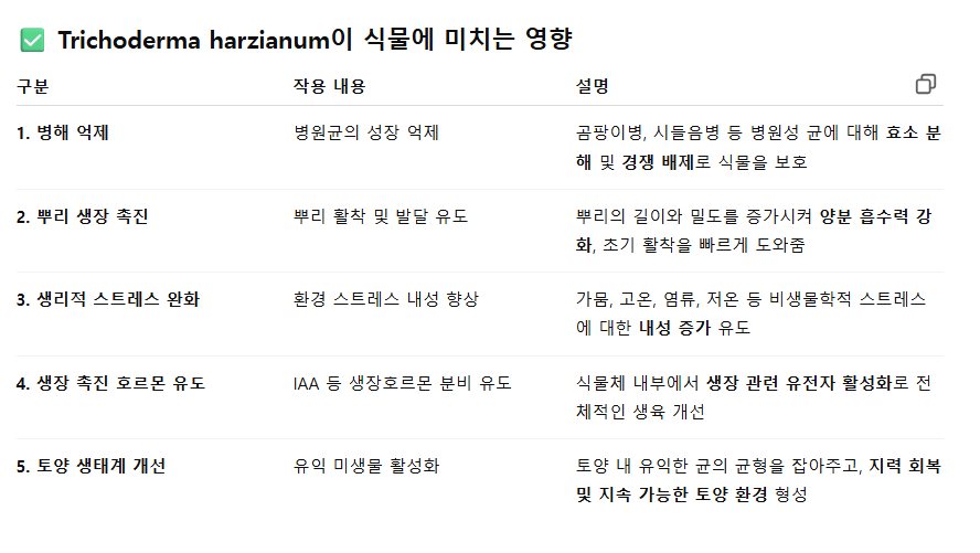 트리코마+카이젠 혼합 처리 vs 무처리 비교