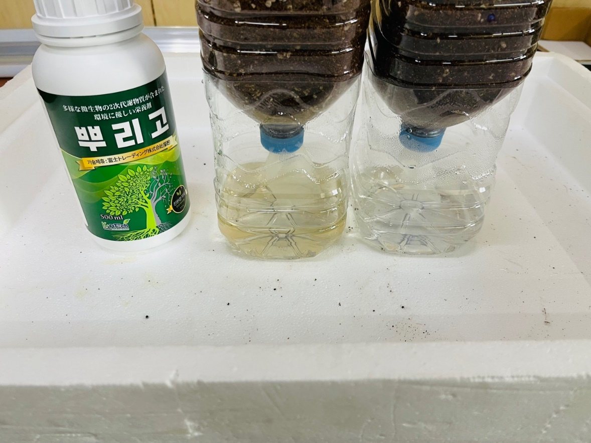 4월 3일 테스트 준비