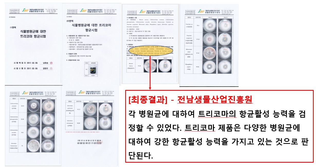 트리코마 수화제 시험성적서 결론