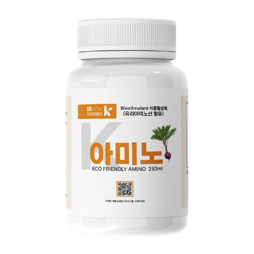 K-아미노