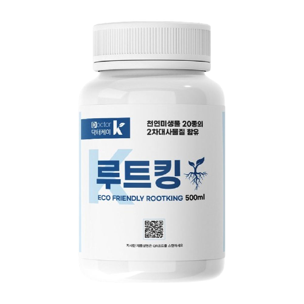 K-루트킹